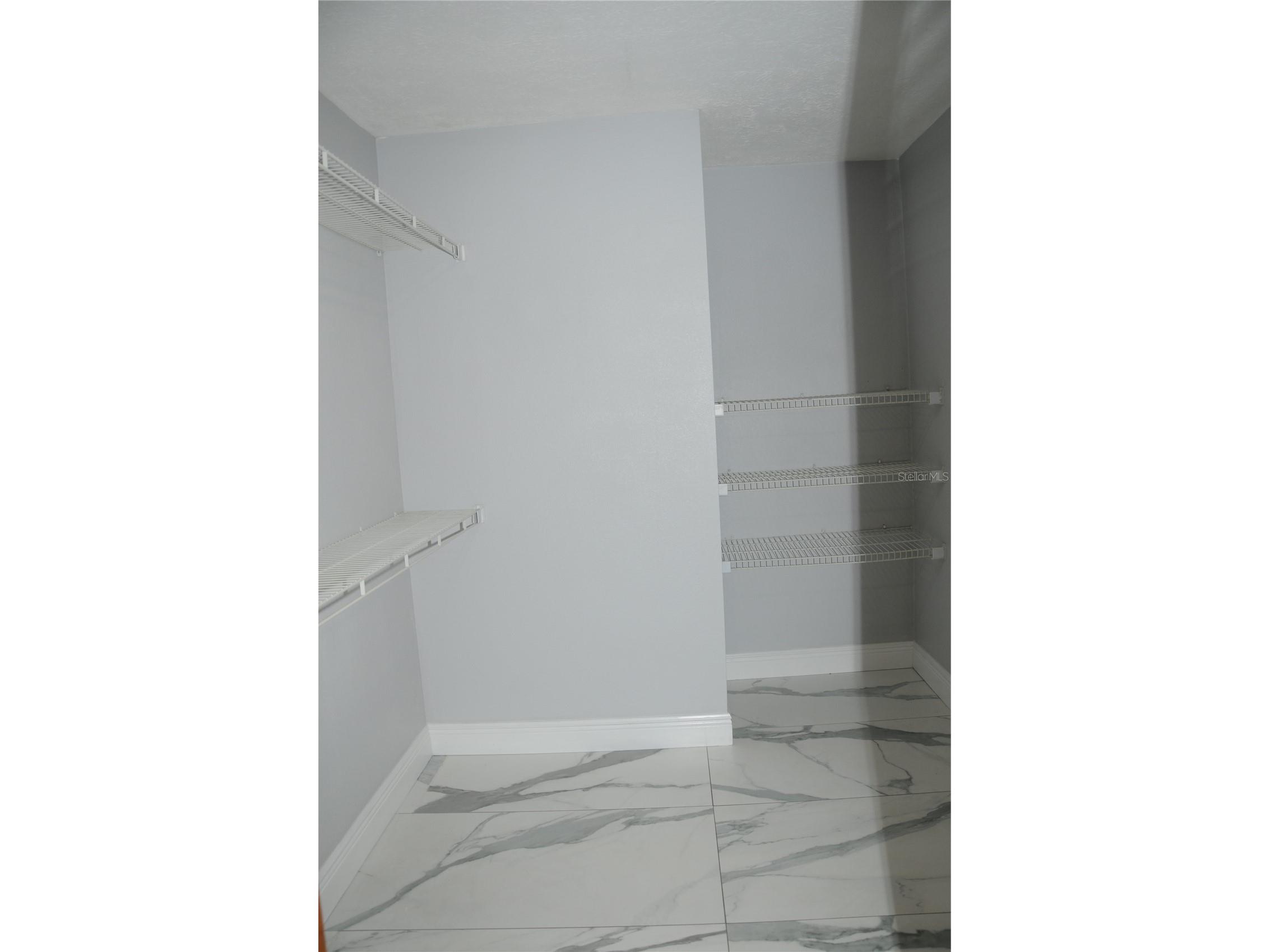 2106 Whitlock Place Dover FL 33527 TB8493968 image30