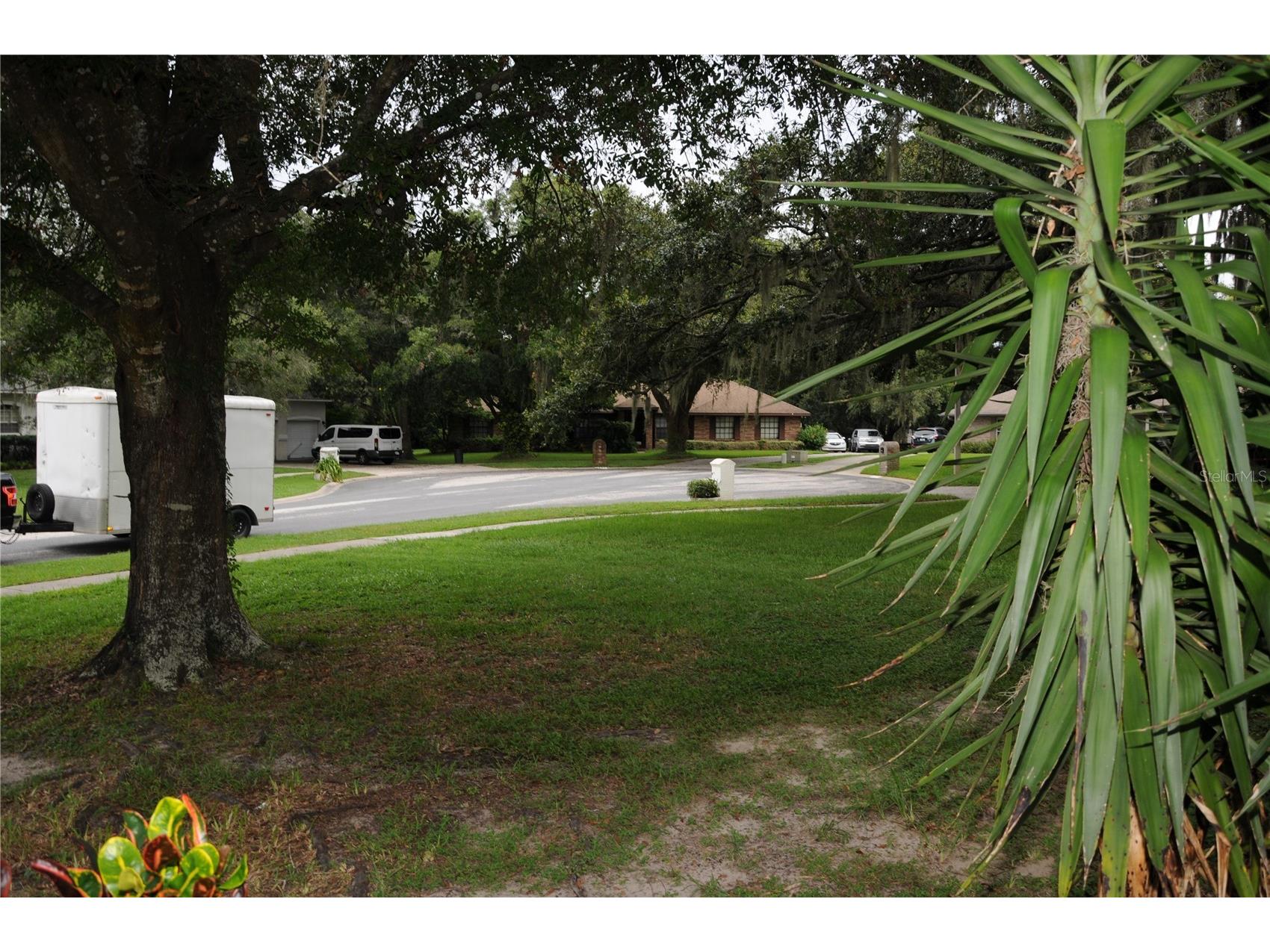 2106 Whitlock Place Dover FL 33527 TB8493968 image6