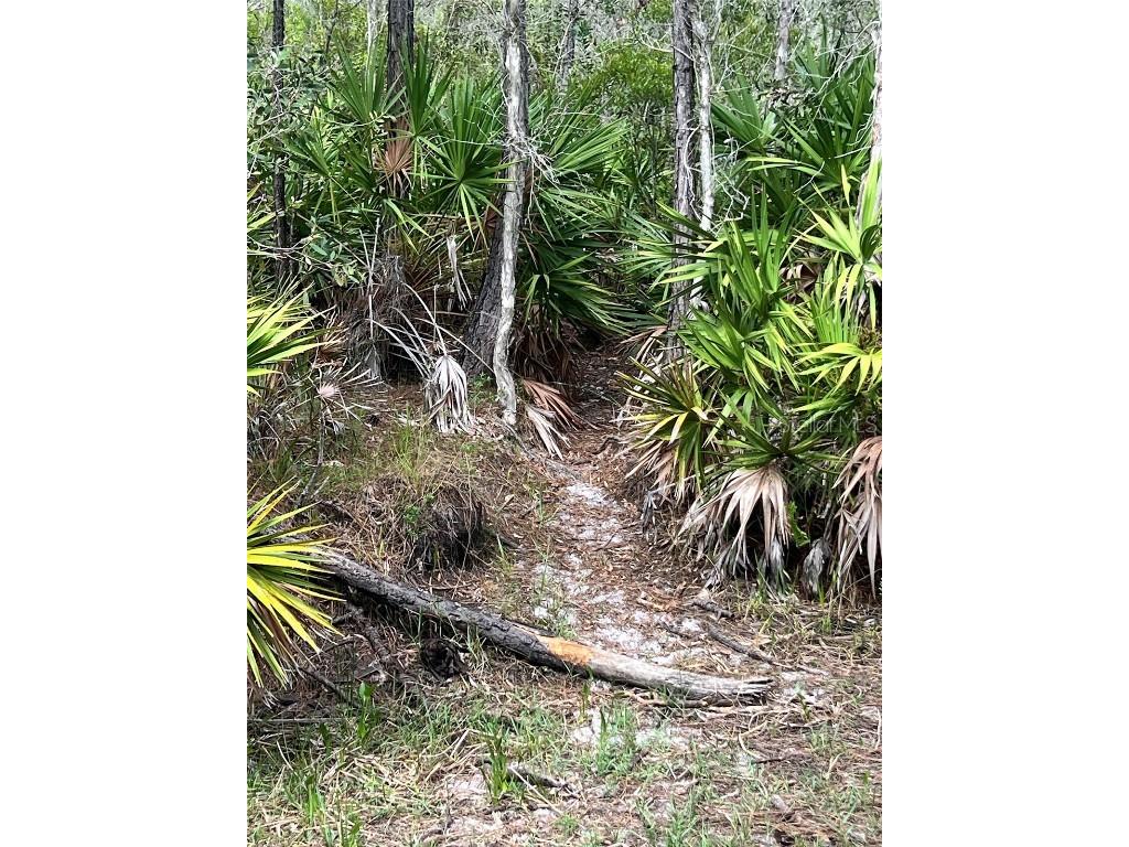 21061 Granville Road North Fort Myers FL 33917 OM703850 image7