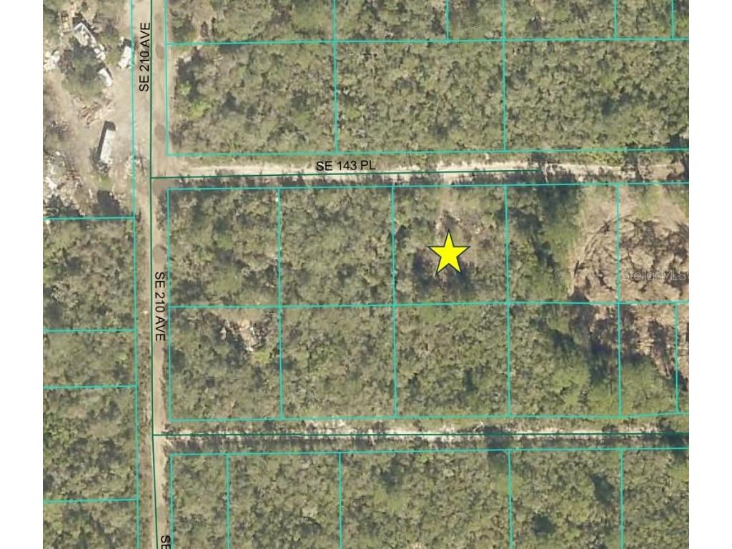 21068 SE 143rd Place Umatilla FL 32784 OM708152 image1