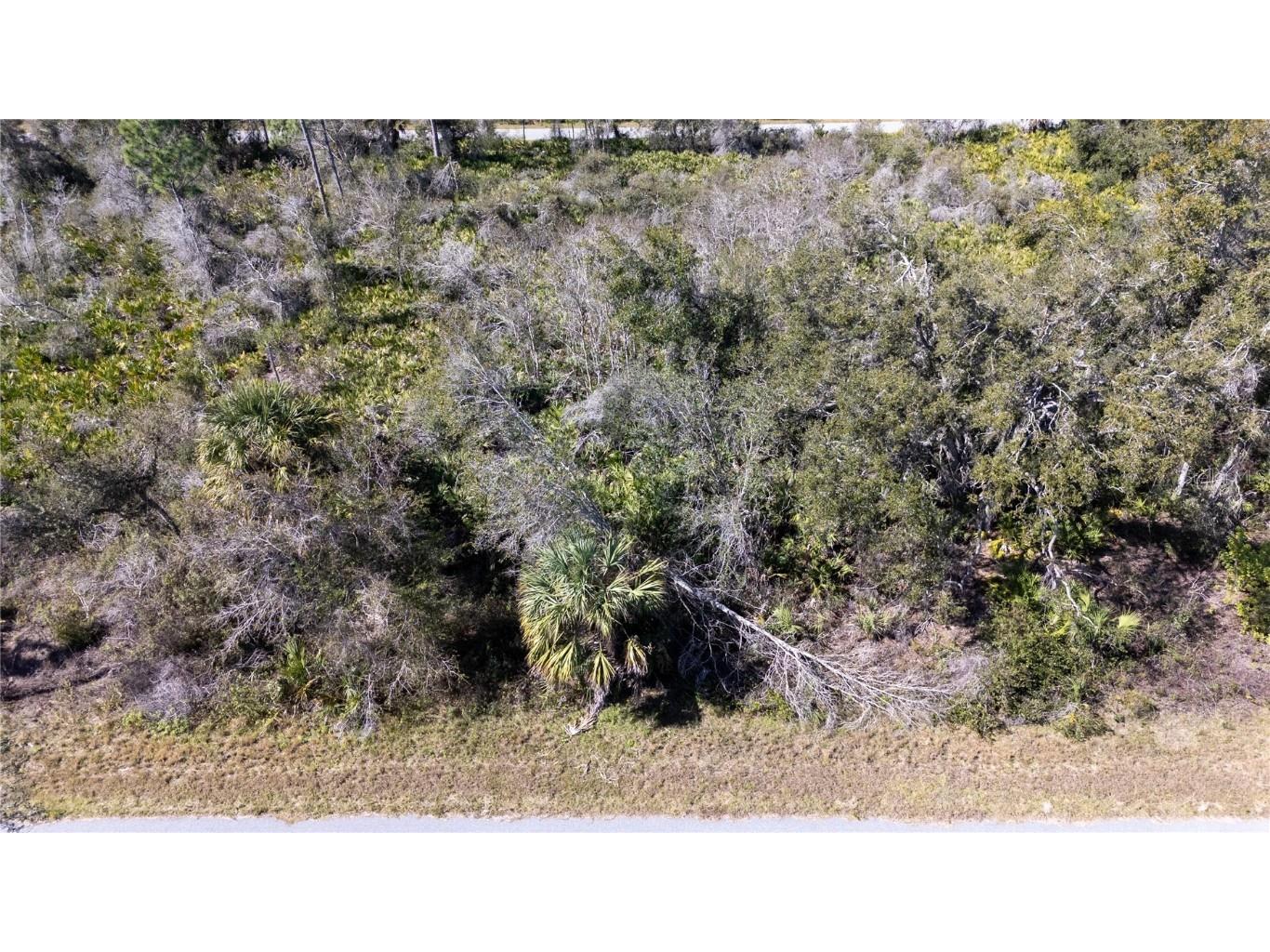 2107 Busher Street Port Charlotte FL 33953 D6134975 image4