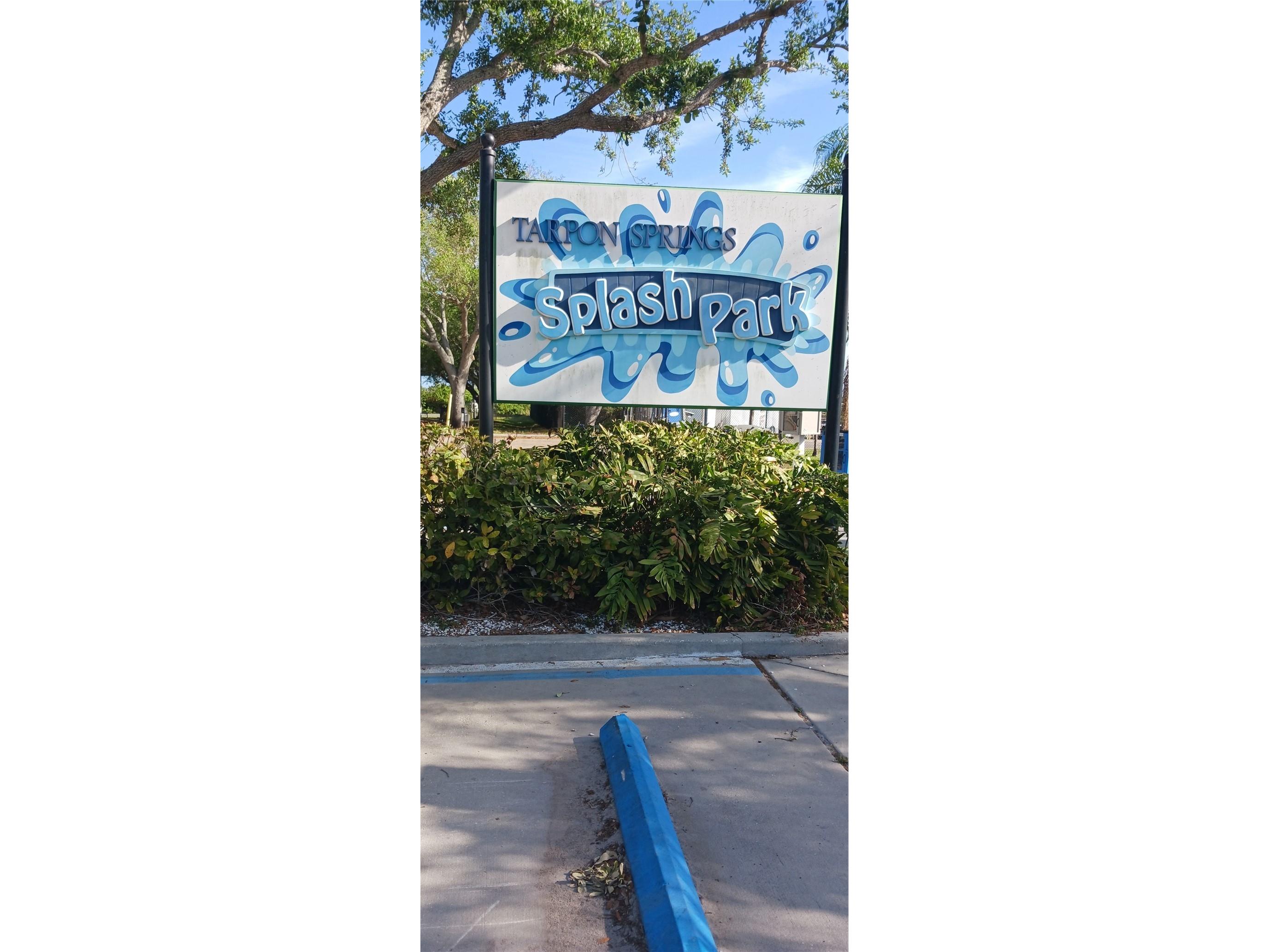 2107 Grove Valley Palm Harbor FL 34683 TB8519682 image54