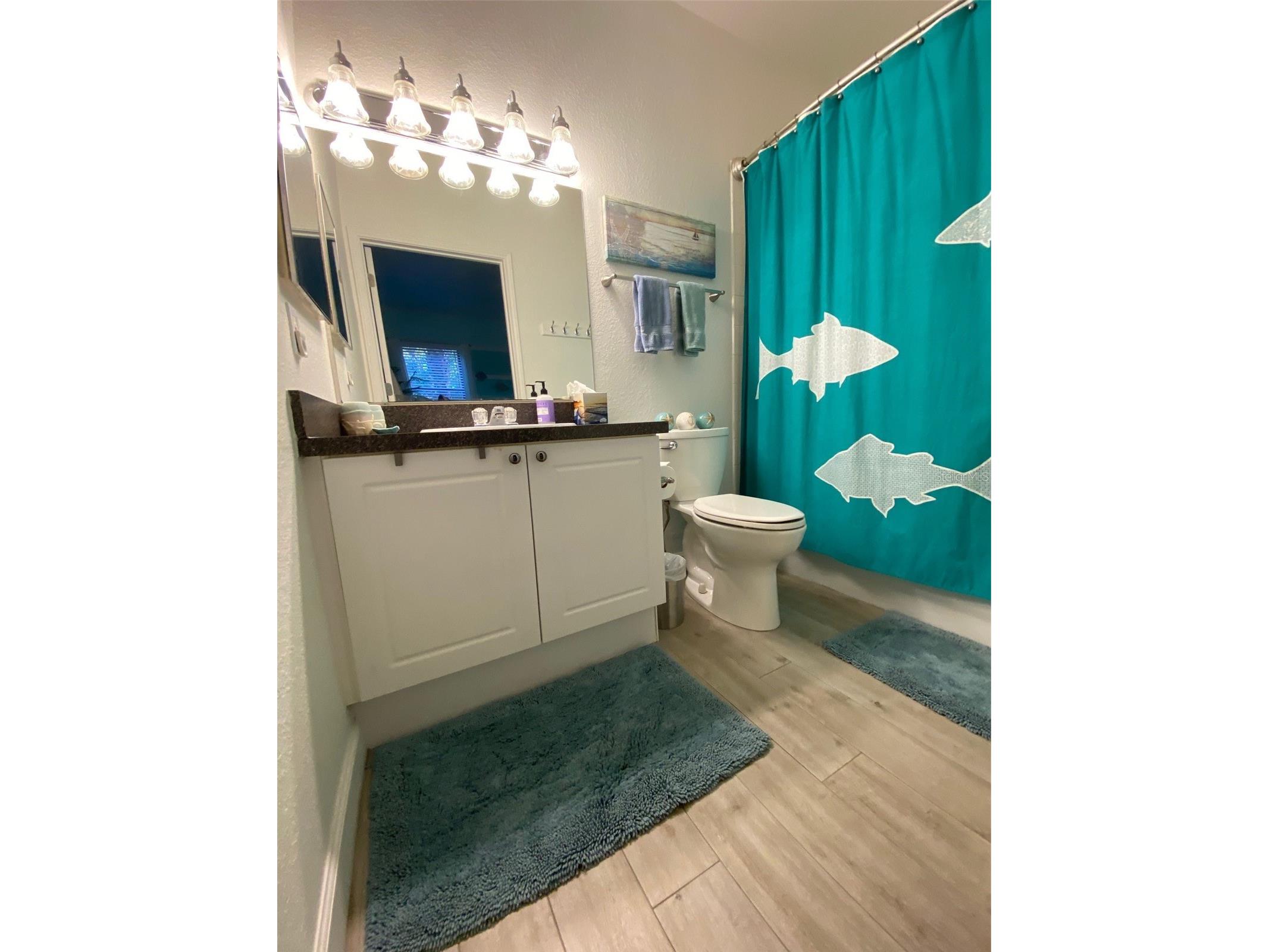 2107 Portofino Place #3011 Palm Harbor FL 34683 TB8527369 image14