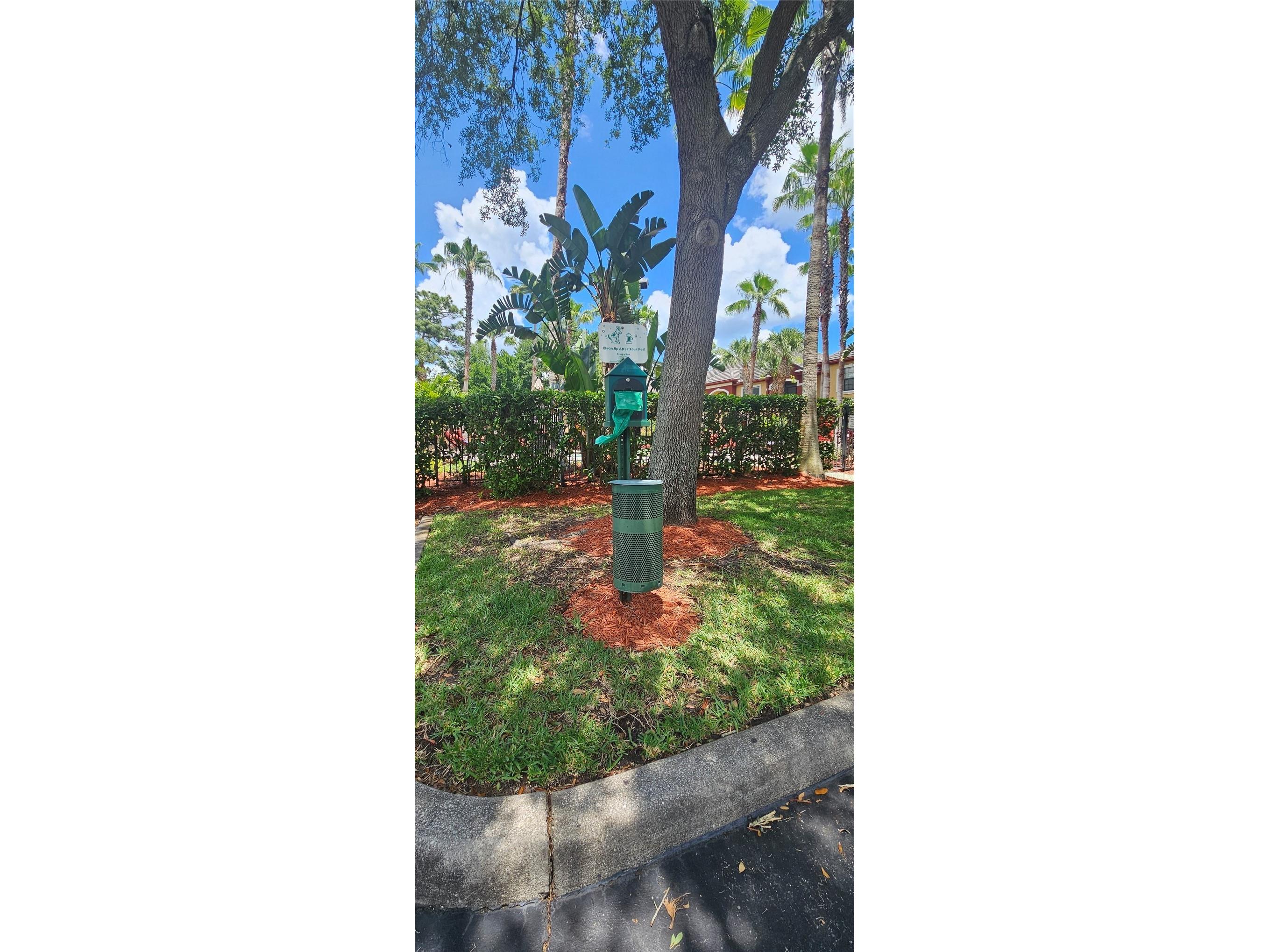 2107 Portofino Place #3016 Palm Harbor FL 34683 TB8501742 image18