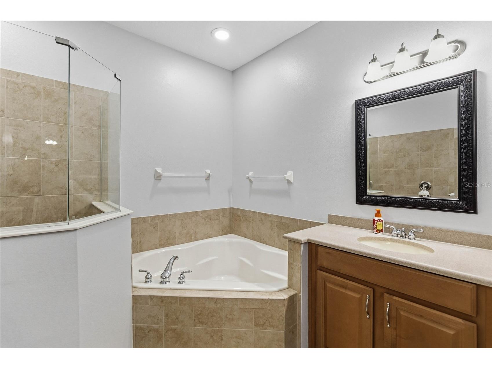 2107 Velvet Leaf Drive Ocoee FL 34761 O6402413 image17