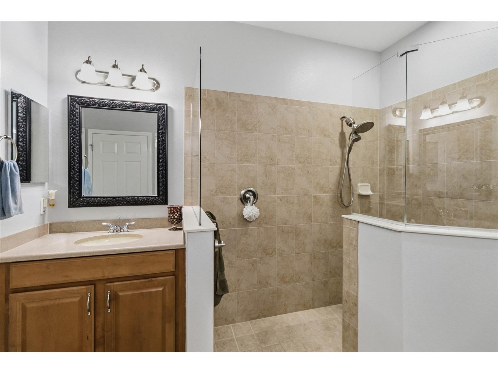 2107 Velvet Leaf Drive Ocoee FL 34761 O6402413 image18