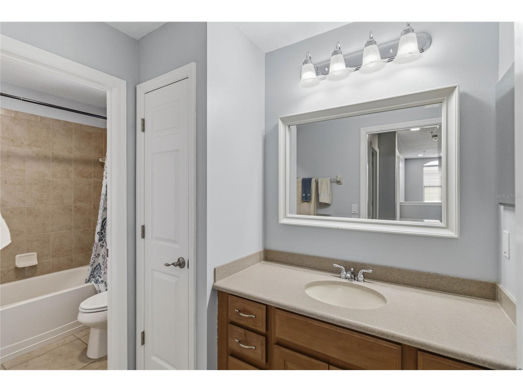 2107 Velvet Leaf Drive Ocoee FL 34761 O6402413 image21