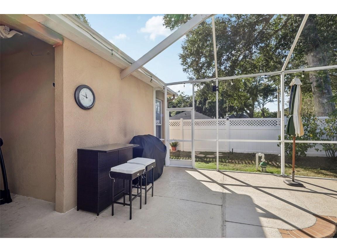 2108 Fawn Meadow Drive Valrico FL 33594 TB8446645 image45