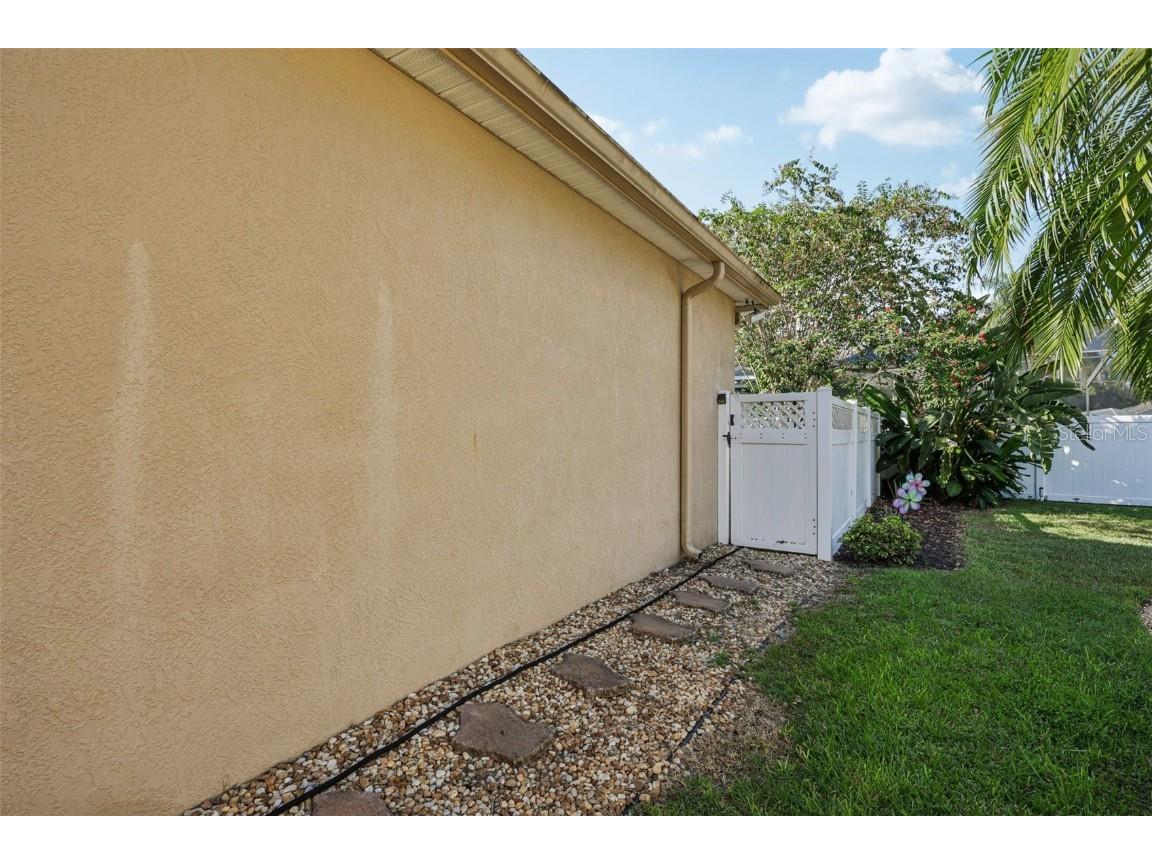 2108 Fawn Meadow Drive Valrico FL 33594 TB8446645 image49