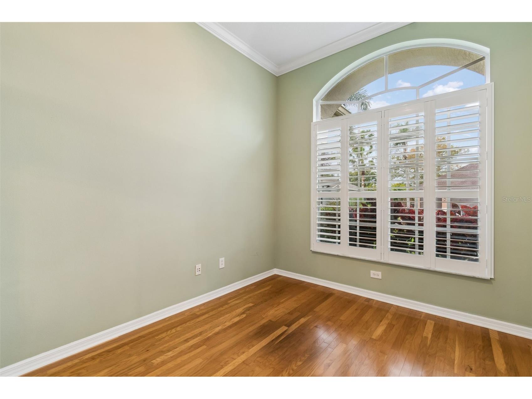 2108 Hammock Park Court Trinity FL 34655 TB8485547 image30