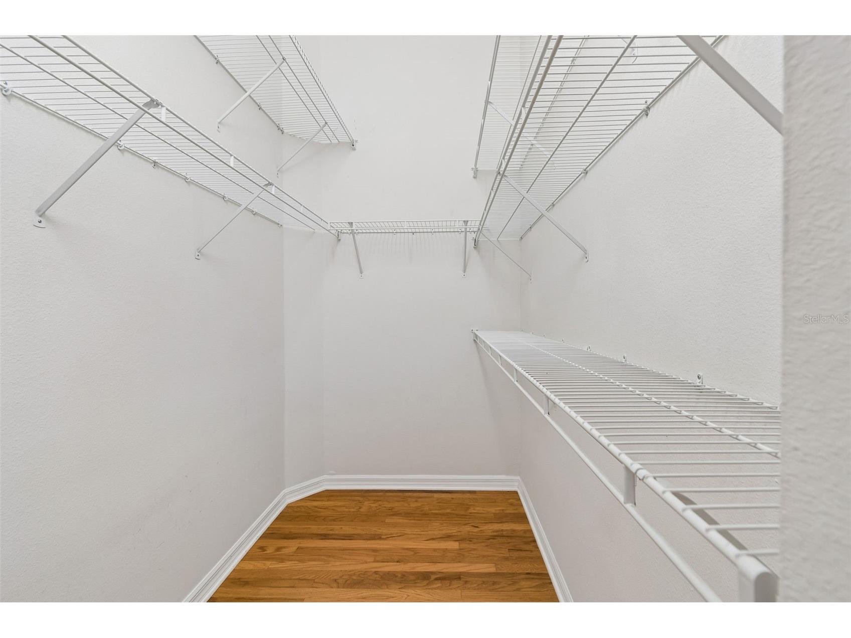 2108 Hammock Park Court Trinity FL 34655 TB8485547 image36