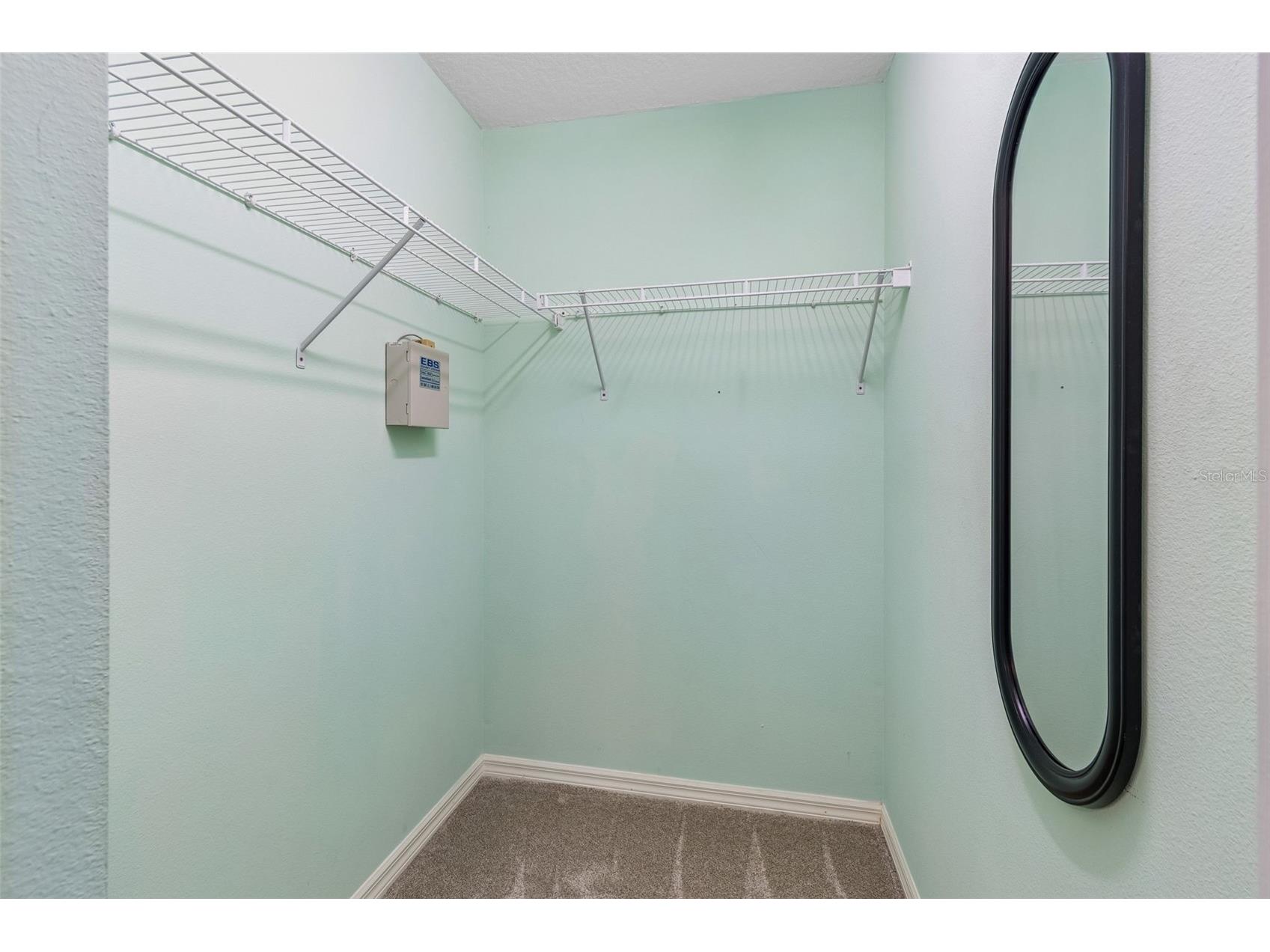 2108 Hammock Park Court Trinity FL 34655 TB8485547 image50