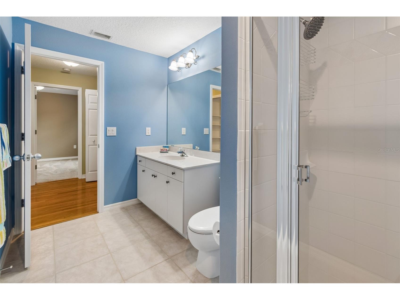 2108 Hammock Park Court Trinity FL 34655 TB8485547 image57