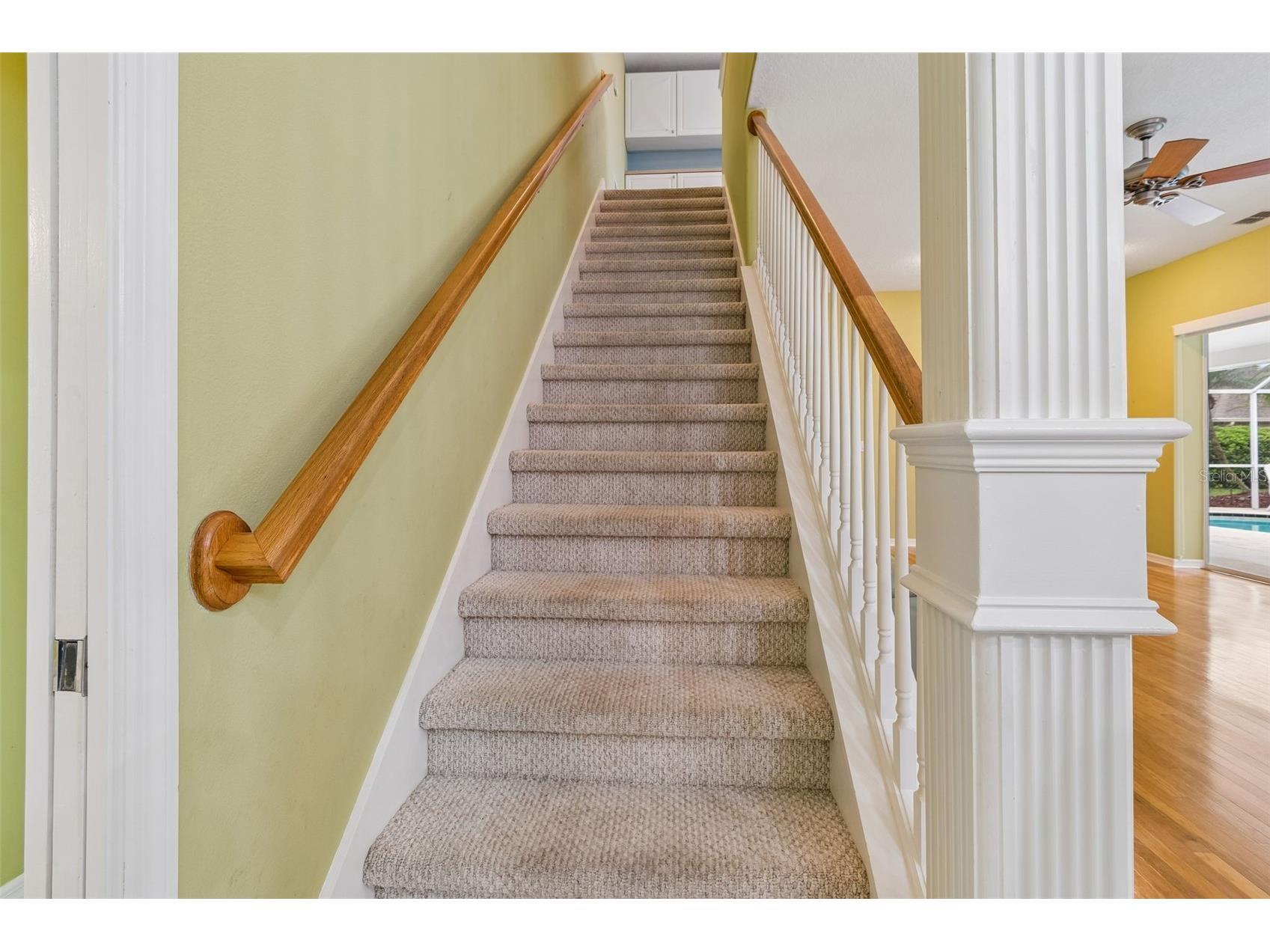 2108 Hammock Park Court Trinity FL 34655 TB8485547 image58