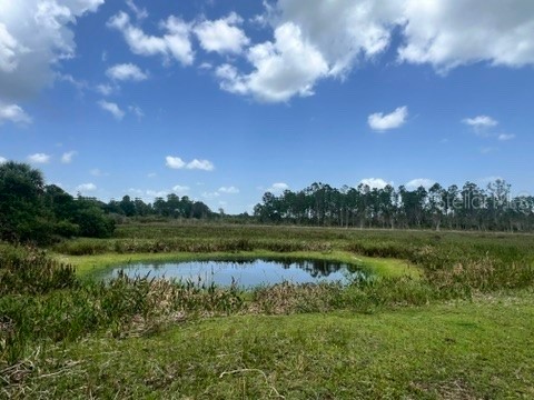 21081 Granville Road North Fort Myers FL 33917 OM703725 image20