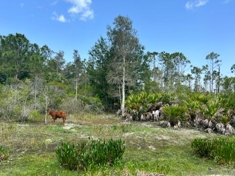 21081 Granville Road North Fort Myers FL 33917 OM703725 image21