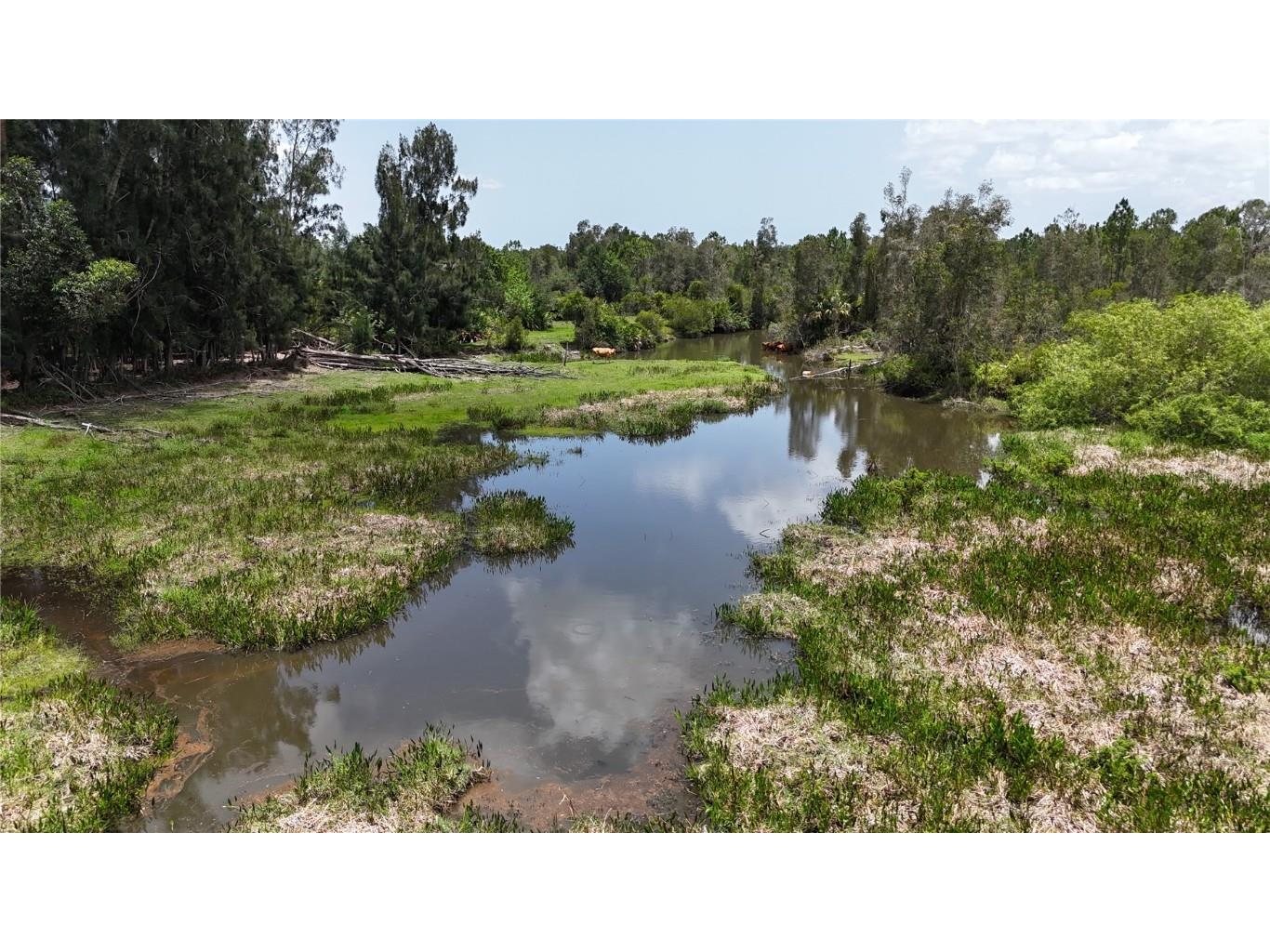 21081 Granville Road North Fort Myers FL 33917 OM703725 image5