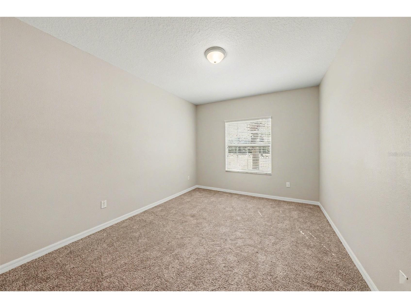 21081 Pleasant Plains Parkway Land O Lakes FL 34637 O6393493 image10
