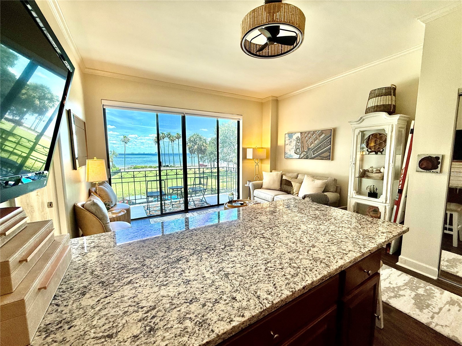 2109 Bayshore Boulevard #203 Tampa FL 33606 TB8516815 image10