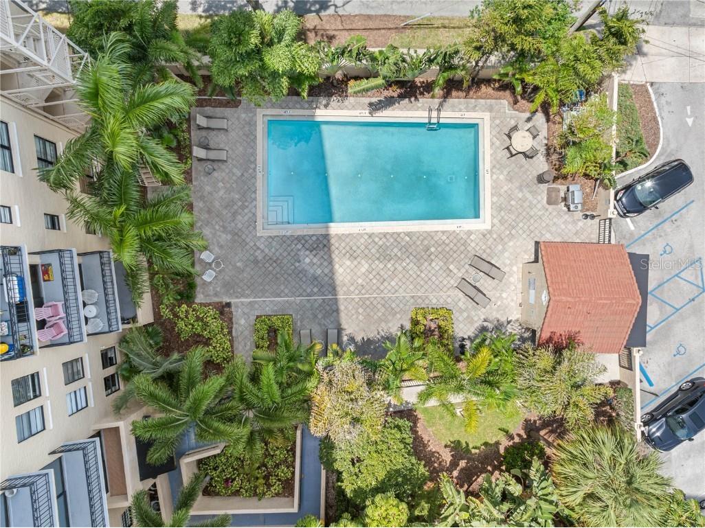 2109 Bayshore Boulevard #205 Tampa FL 33606 TB8455966 image25