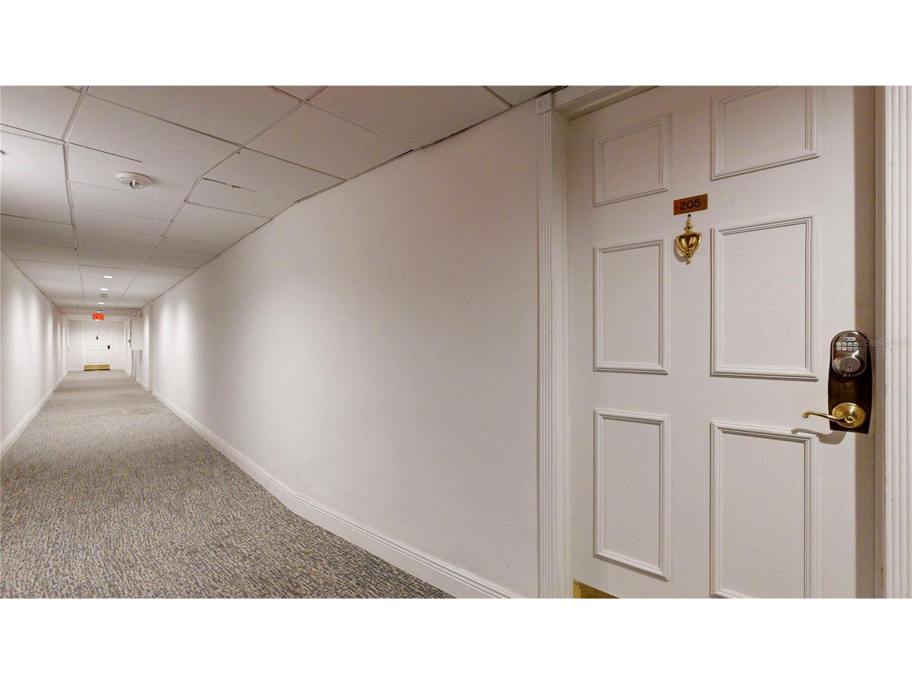 2109 Bayshore Boulevard #205 Tampa FL 33606 TB8486391 image4