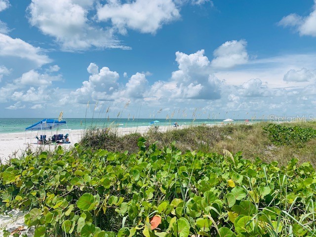 2109 Bayshore Drive Belleair Beach FL 33786 - INTRACOASTAL WATERWAY TB8473235 image39