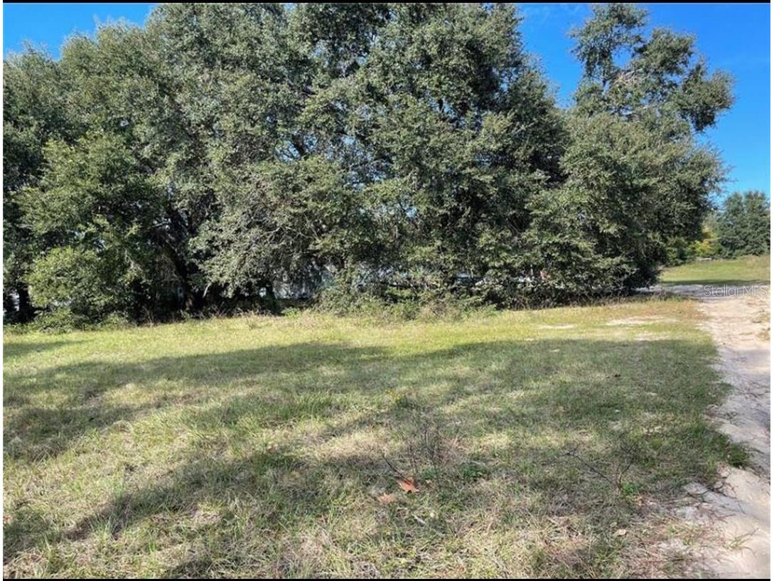 2109 Byron Street Inverness FL 34453 OM720660 image2