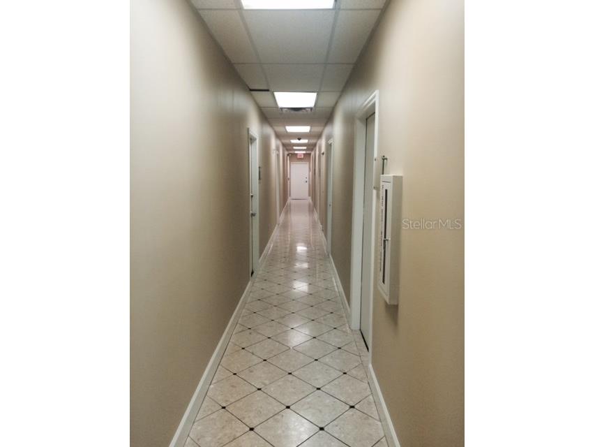 2109 E Palm Avenue Tampa FL 33605 T2795267 image3