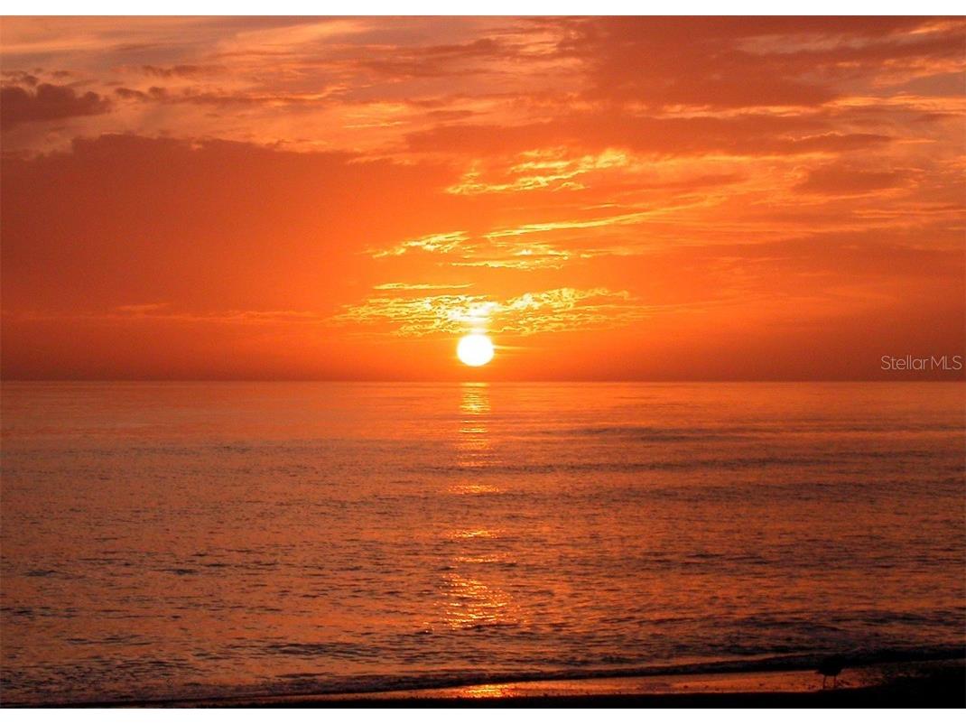 2109 Gulf Of Mexico Drive #1203 Longboat Key FL 34228 - GULF OF MEXICO A4584050 image63