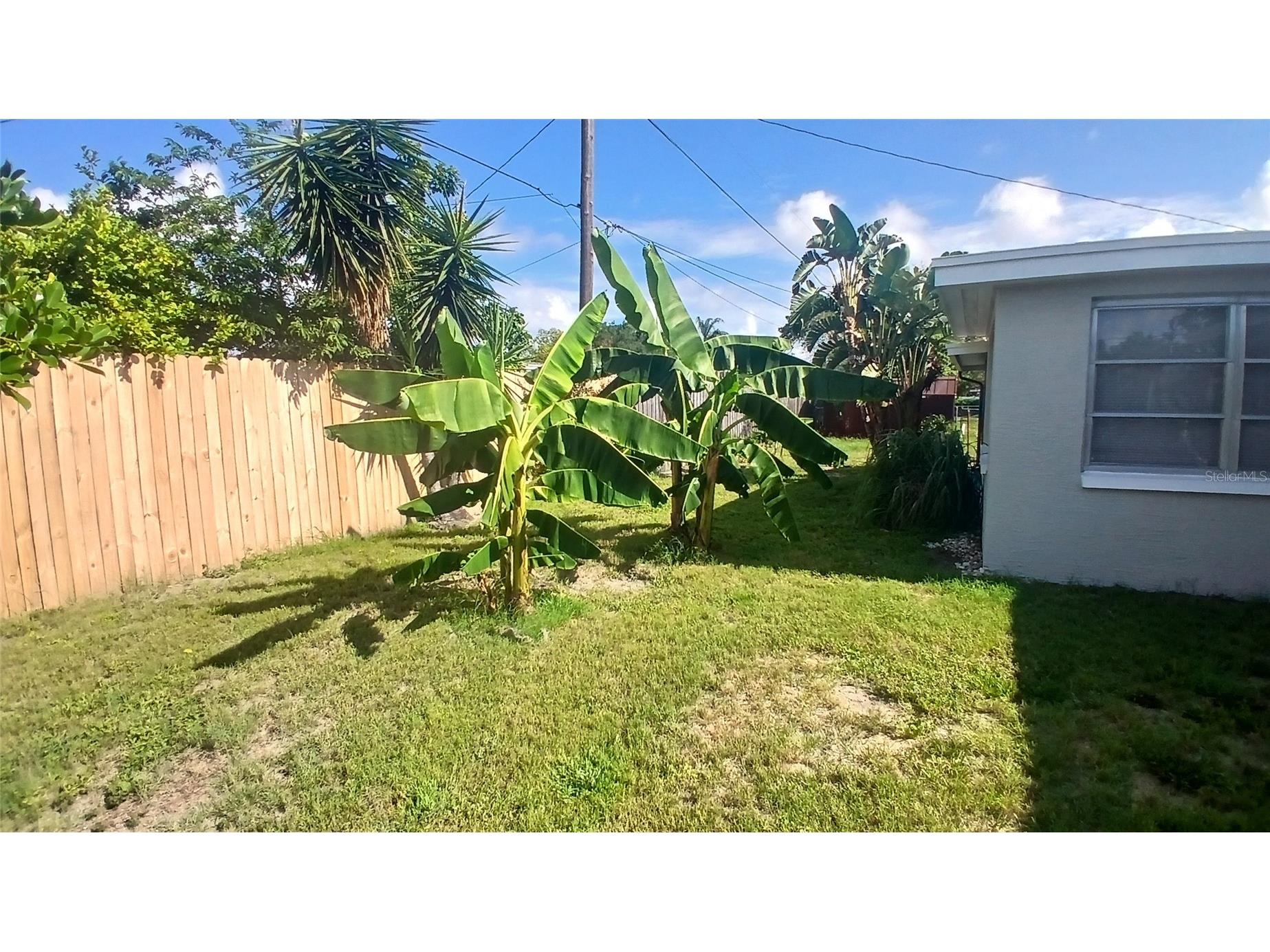 2109 Shannon Drive Holiday FL 34690 TB8523552 image20