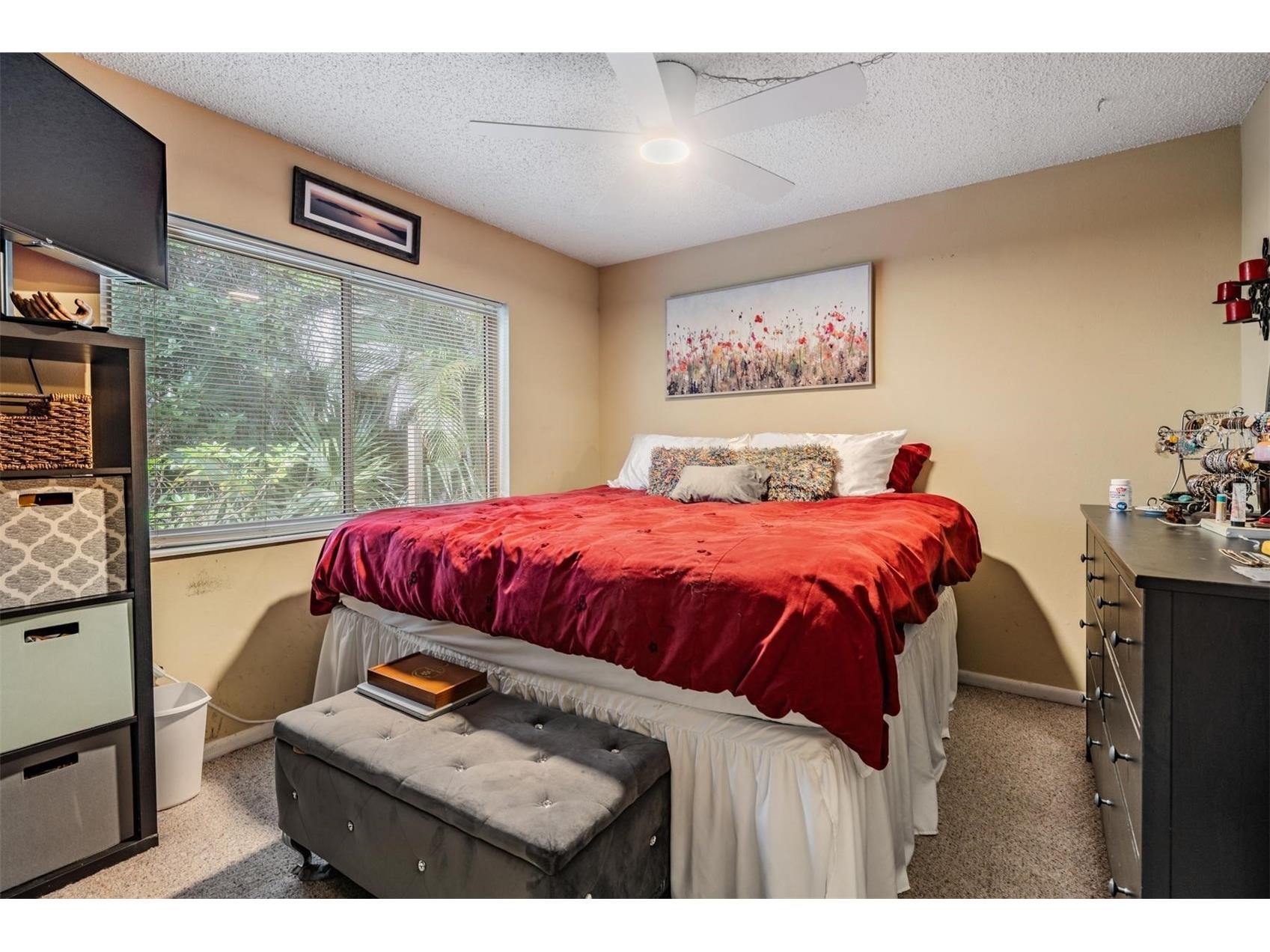 2109 W De Leon Street Tampa FL 33606 TB8507243 image15
