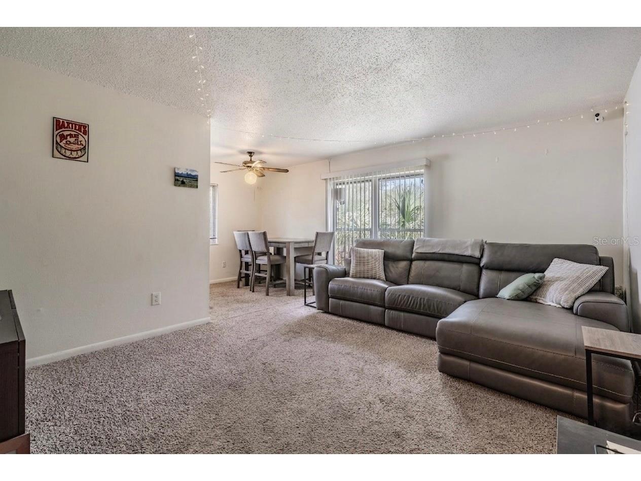 2109 W De Leon Street Tampa FL 33606 TB8507243 image24