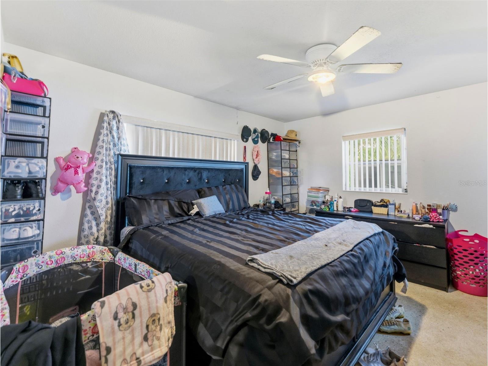 2109 W Erna Drive Tampa FL 33603 TB8516966 image14