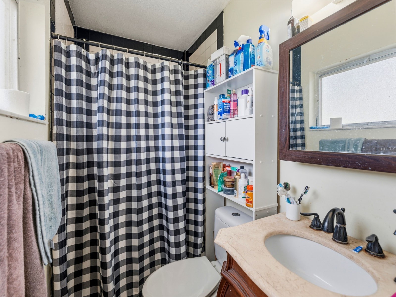 2109 W Erna Drive Tampa FL 33603 TB8516966 image17