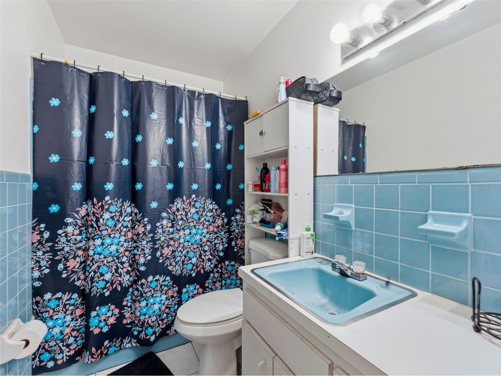 2109 W Erna Drive Tampa FL 33603 TB8516966 image22