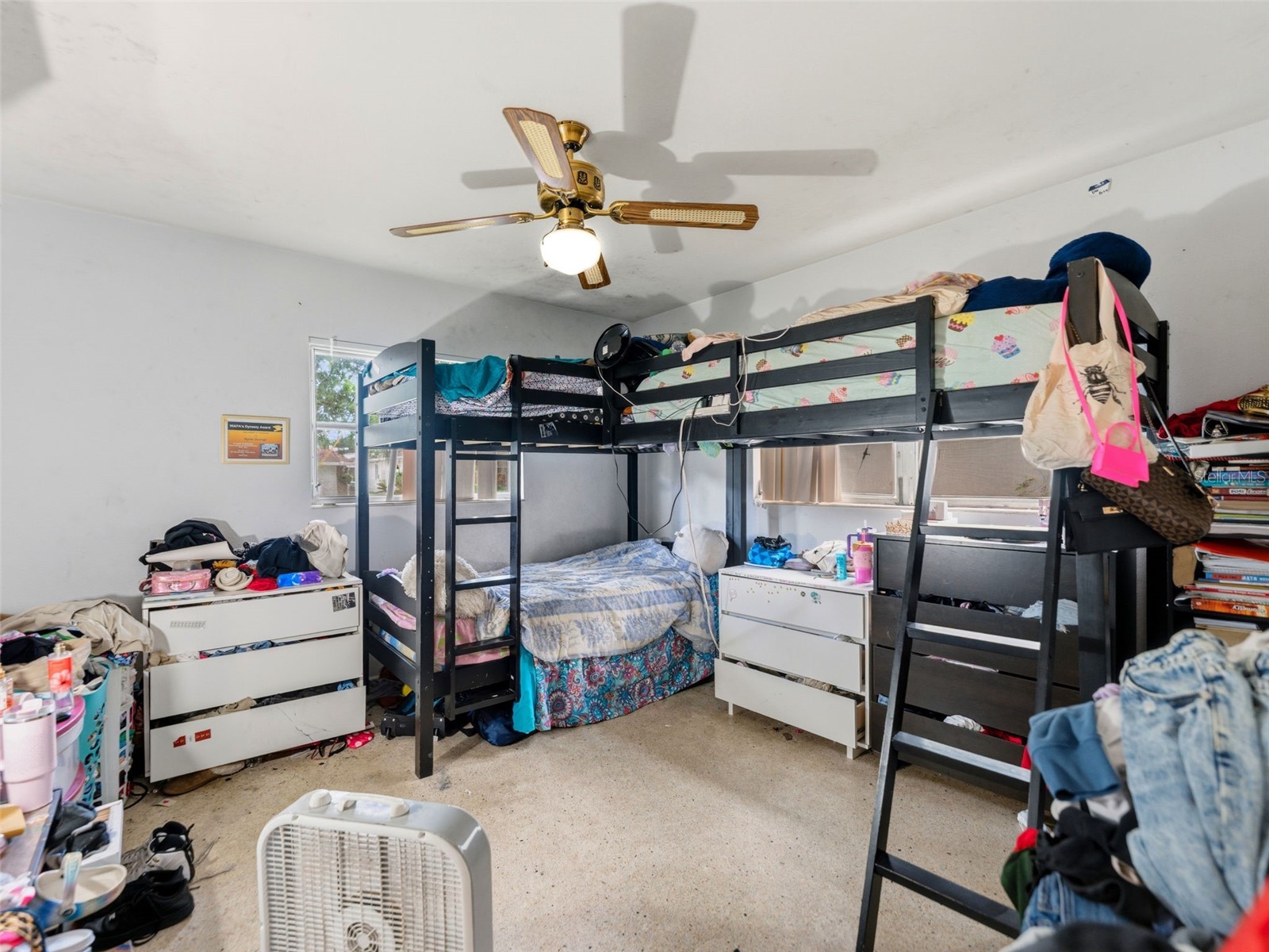 2109 W Erna Drive Tampa FL 33603 TB8516966 image23