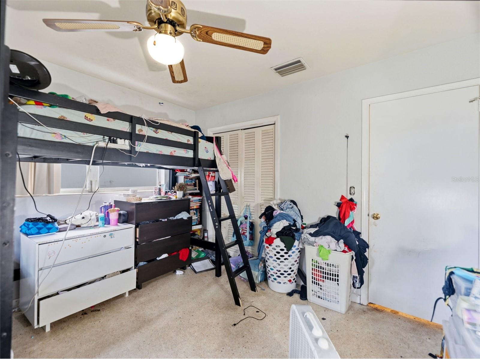 2109 W Erna Drive Tampa FL 33603 TB8516966 image24