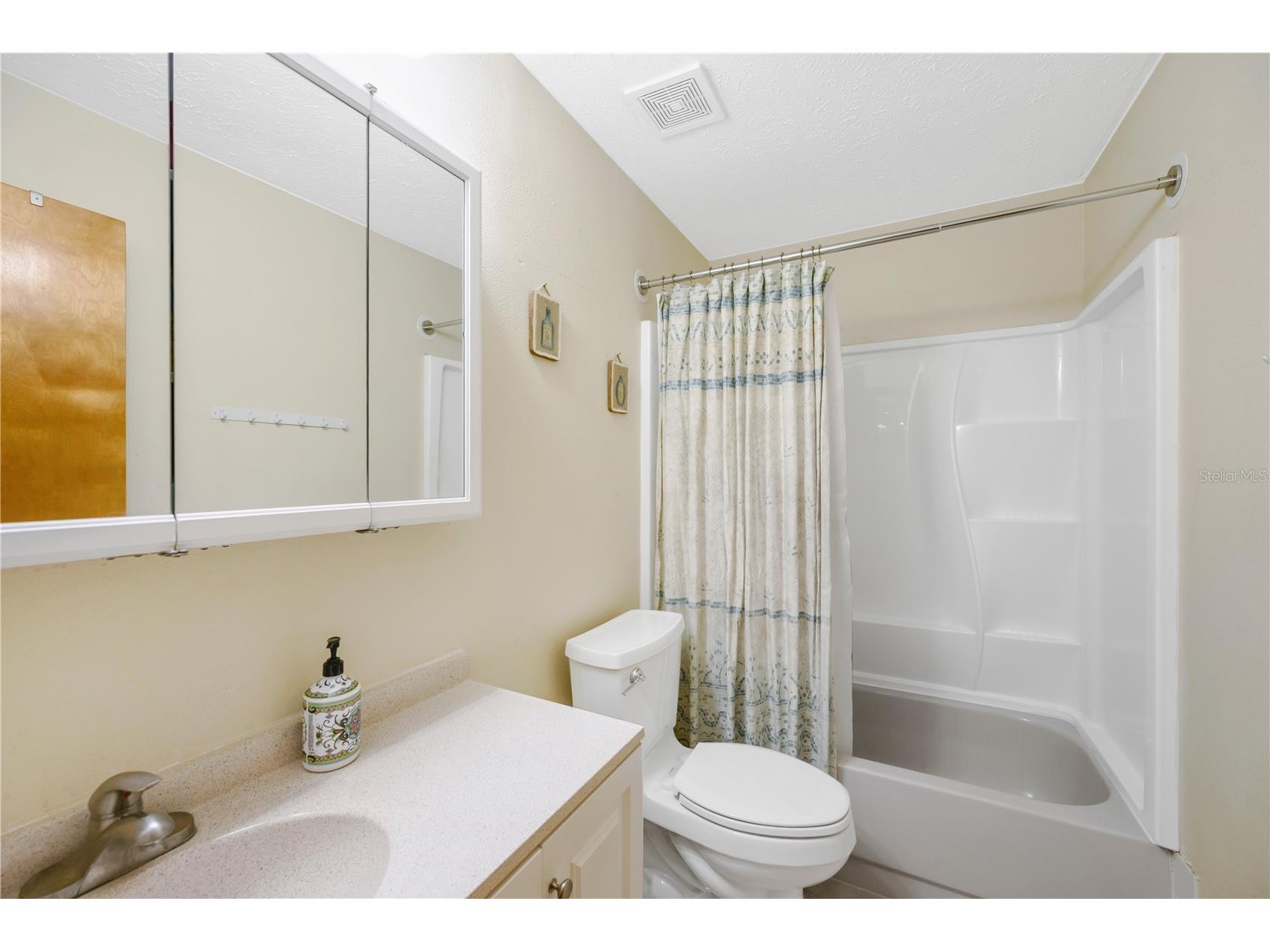 2109 Wheeler Oaks Drive Brandon FL 33510 TB8526109 image23