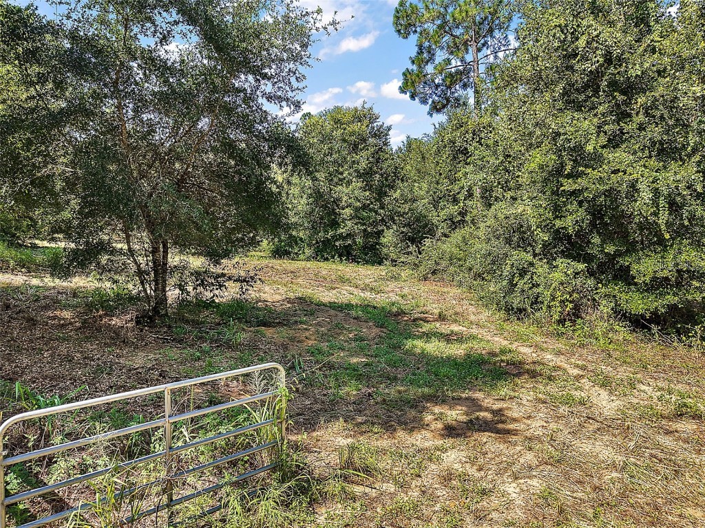 21097 County Road 455 Clermont FL 34715 G5100298 image49