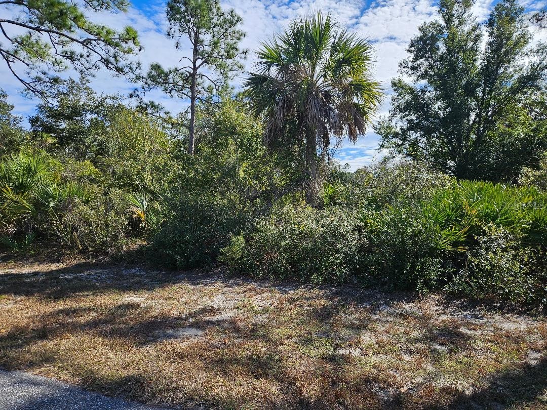 211 Baldur Drive Port Charlotte FL 33954 C7519490 image1
