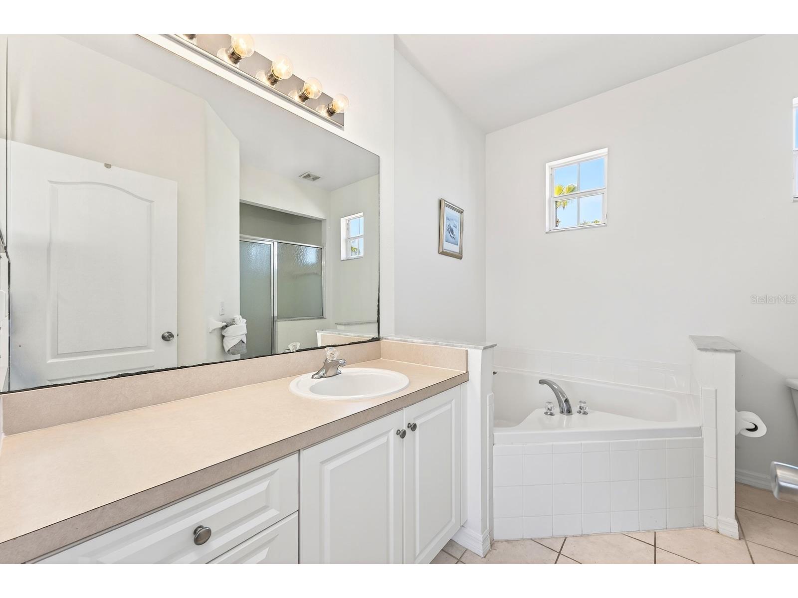 211 Brunello Drive Davenport FL 33897 O6403619 image18