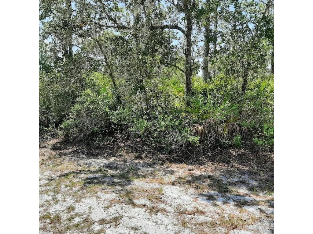 211 Camellia Drive Indian Lake Estates FL 33855 - LAKE WALK-IN-WATER TB8388517 image1