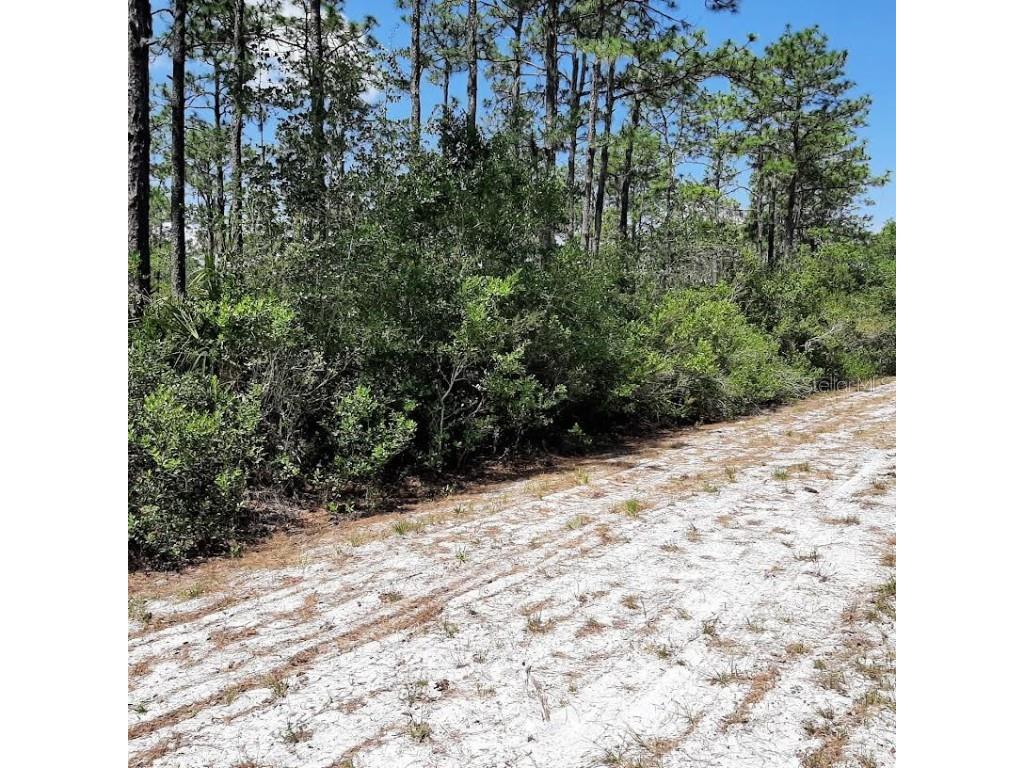 211 Camellia Drive Indian Lake Estates FL 33855 - LAKE WALK-IN-WATER TB8388517 image2