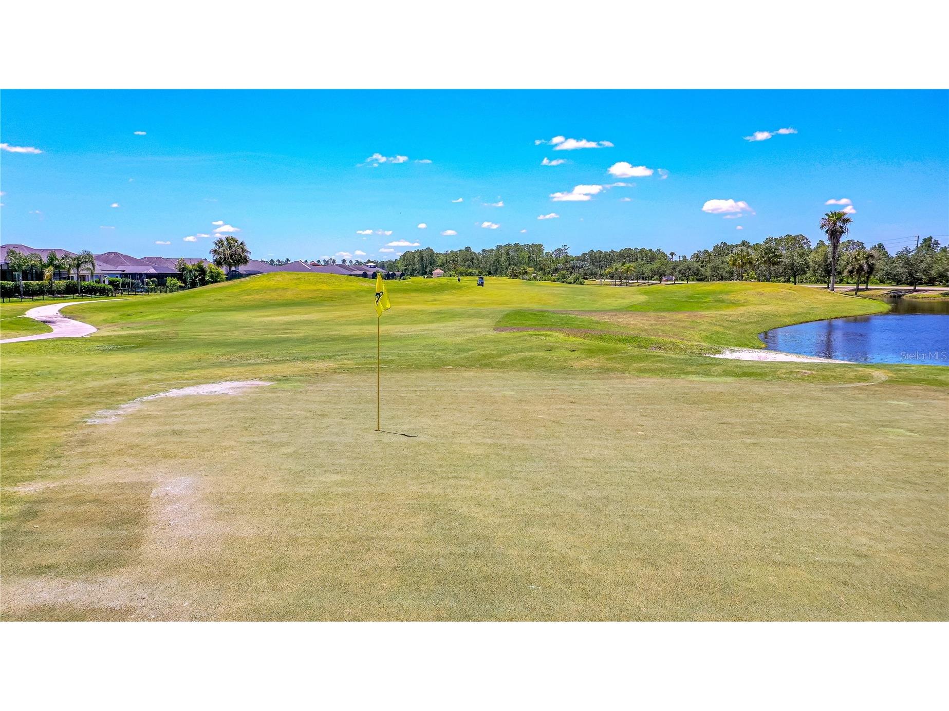 211 Caryota Court New Smyrna Beach FL 32168 NS1088636 image59