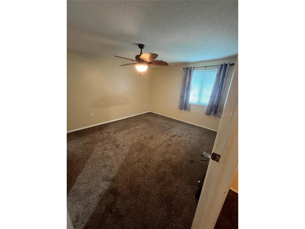 211 Corkwood Lane Oldsmar FL 34677 TB8454574 image12