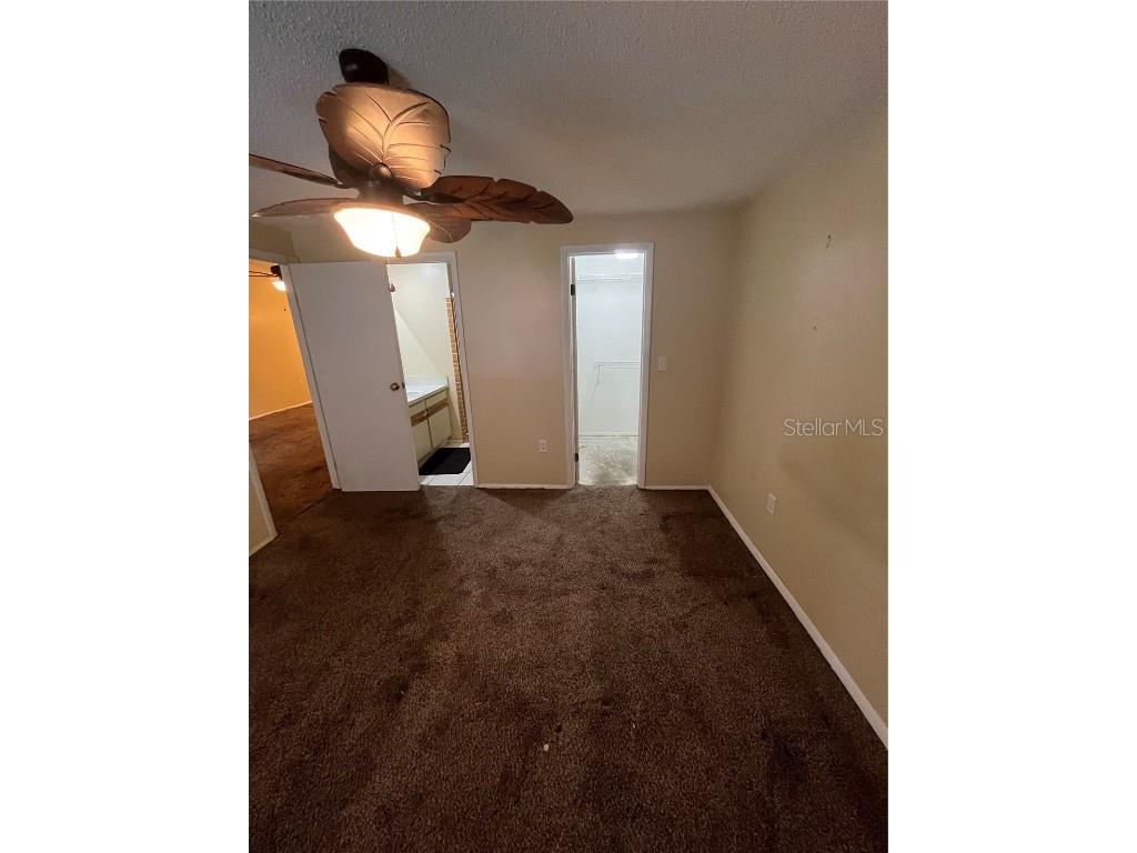 211 Corkwood Lane Oldsmar FL 34677 TB8454574 image13