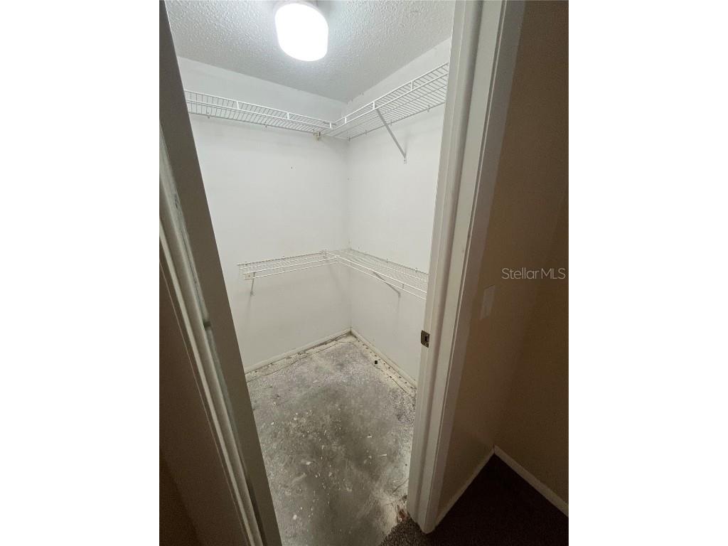 211 Corkwood Lane Oldsmar FL 34677 TB8454574 image14