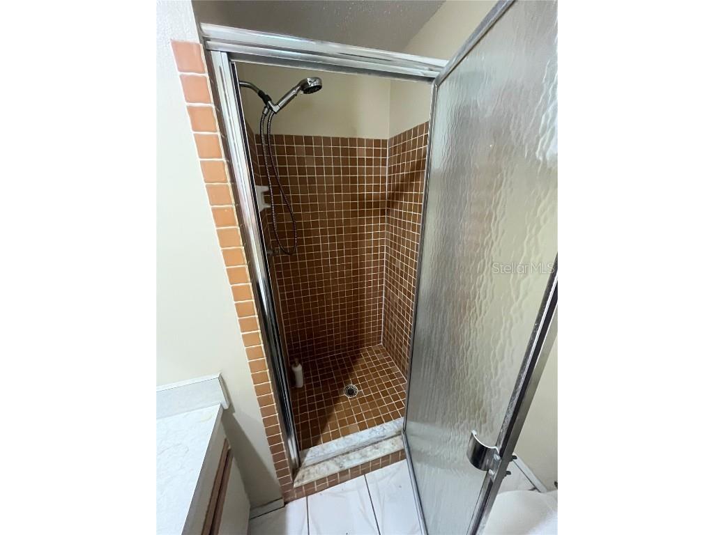 211 Corkwood Lane Oldsmar FL 34677 TB8454574 image17