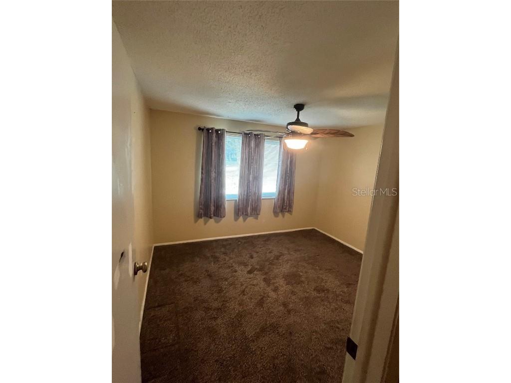 211 Corkwood Lane Oldsmar FL 34677 TB8454574 image18