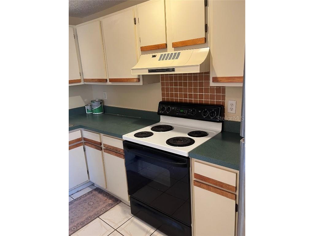 211 Corkwood Lane Oldsmar FL 34677 TB8454574 image4